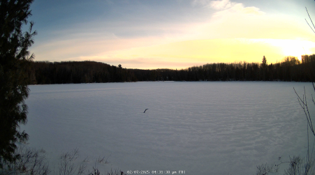 Image from 2025-02-07