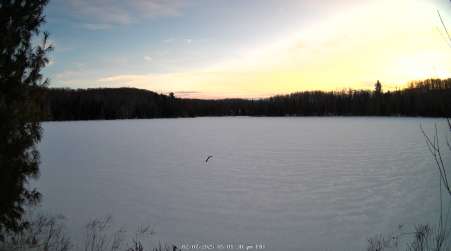Image from 2025-02-07