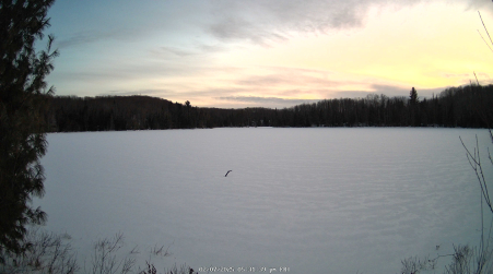 Image from 2025-02-07
