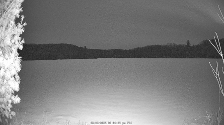Image from 2025-02-07