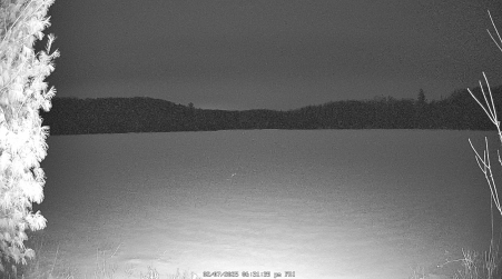 Image from 2025-02-07