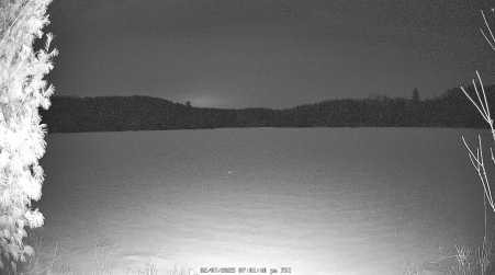 Image from 2025-02-07