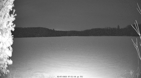Image from 2025-02-07