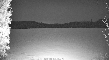 Image from 2025-02-07