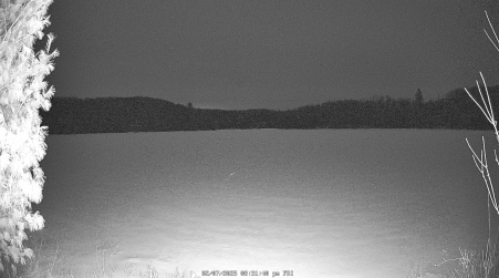 Image from 2025-02-07