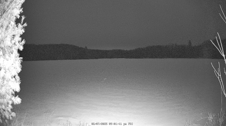 Image from 2025-02-07