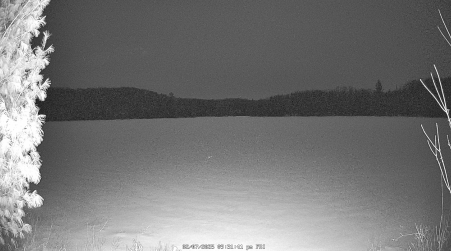 Image from 2025-02-07