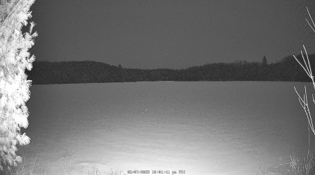 Image from 2025-02-07