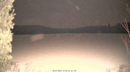 Image from 2025-02-07