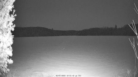 Image from 2025-02-07