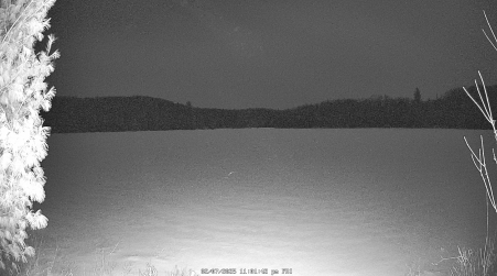 Image from 2025-02-07