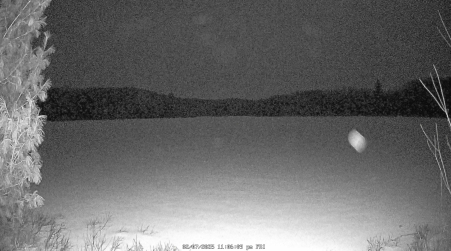 Image from 2025-02-07