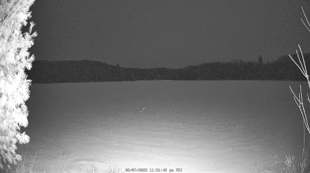 Image from 2025-02-07