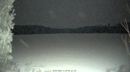 Image from 2025-02-07