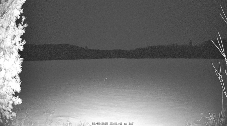 Image from 2025-02-08