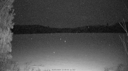 Image from 2025-02-08