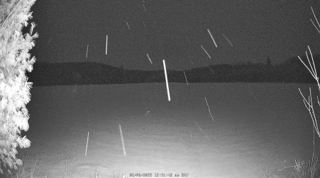 Image from 2025-02-08