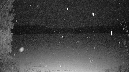 Image from 2025-02-08