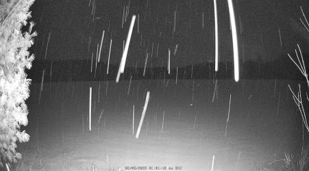 Image from 2025-02-08