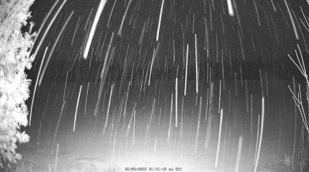 Image from 2025-02-08
