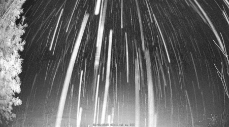 Image from 2025-02-08