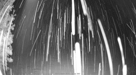 Image from 2025-02-08