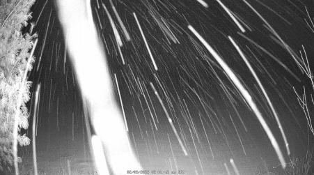 Image from 2025-02-08