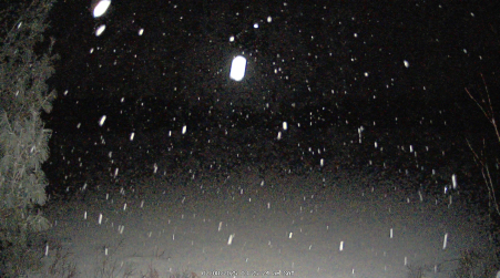 Image from 2025-02-08