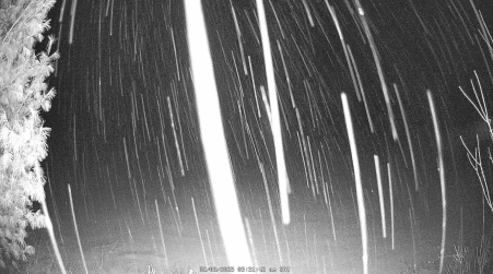 Image from 2025-02-08