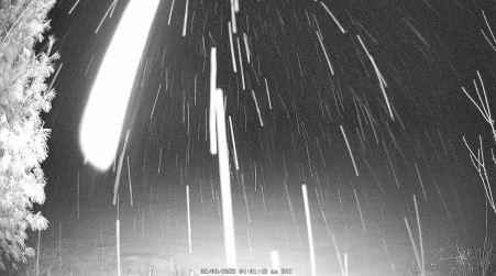 Image from 2025-02-08