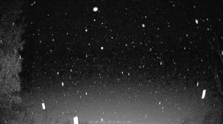 Image from 2025-02-08