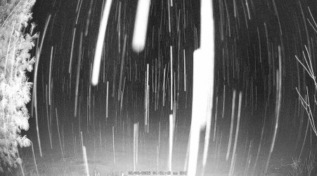 Image from 2025-02-08