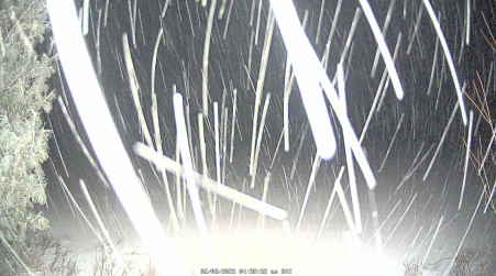 Image from 2025-02-08