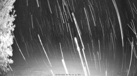 Image from 2025-02-08