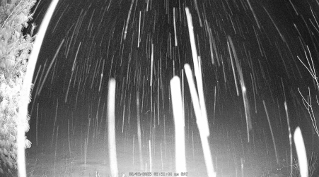 Image from 2025-02-08