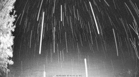 Image from 2025-02-08