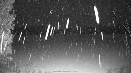 Image from 2025-02-08