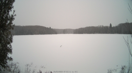 Image from 2025-02-08
