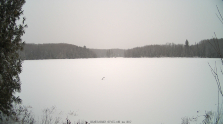 Image from 2025-02-08
