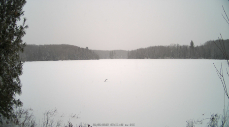 Image from 2025-02-08