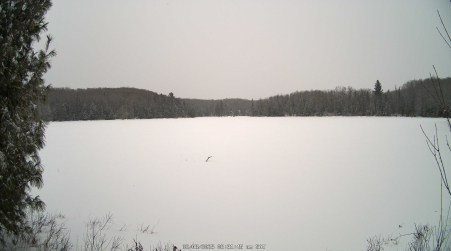 Image from 2025-02-08