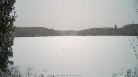 Image from 2025-02-08