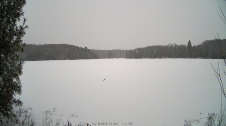 Image from 2025-02-08
