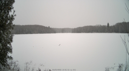 Image from 2025-02-08