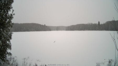 Image from 2025-02-08