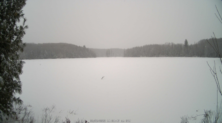 Image from 2025-02-08