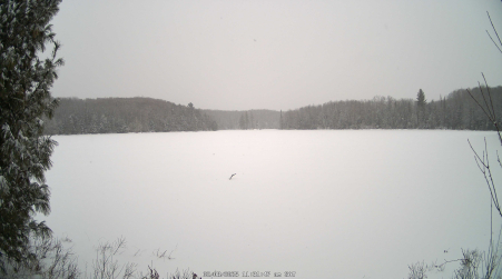 Image from 2025-02-08