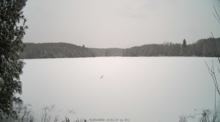 Image from 2025-02-08