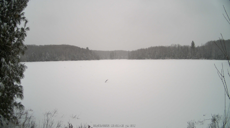 Image from 2025-02-08