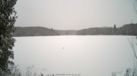 Image from 2025-02-08